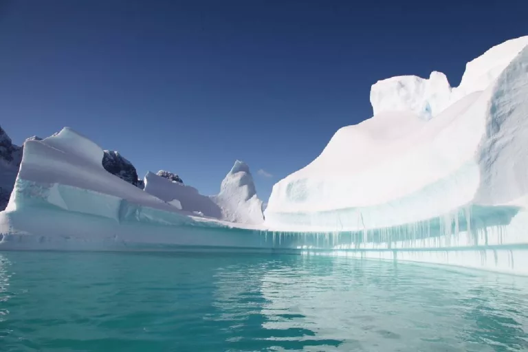 Best Things To Do In Antarctica