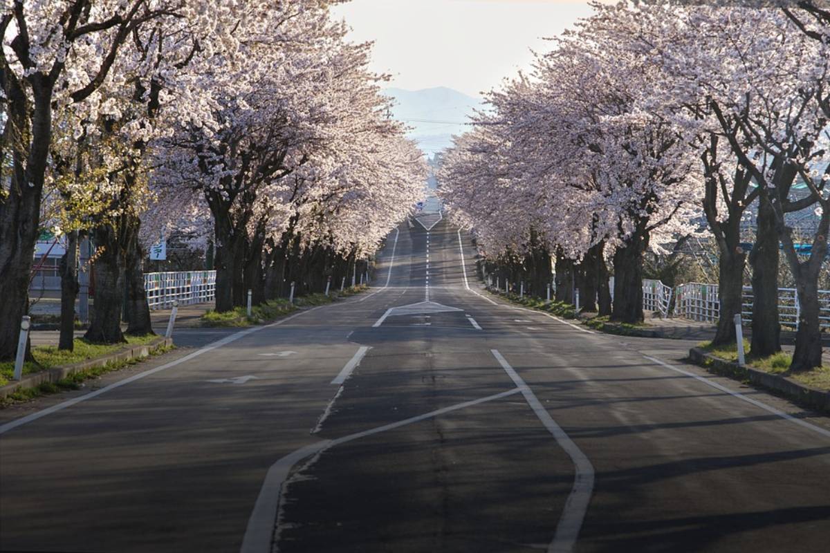 Essential Japan Travel Tips That You Should Know