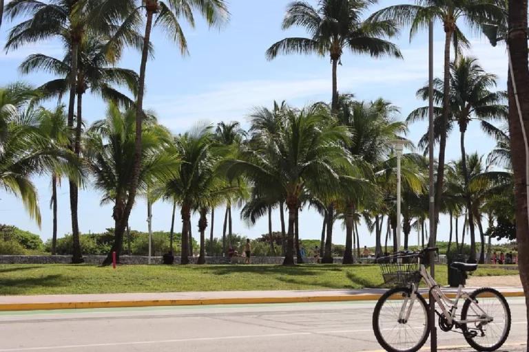 The Gateway To Latin America – Miami