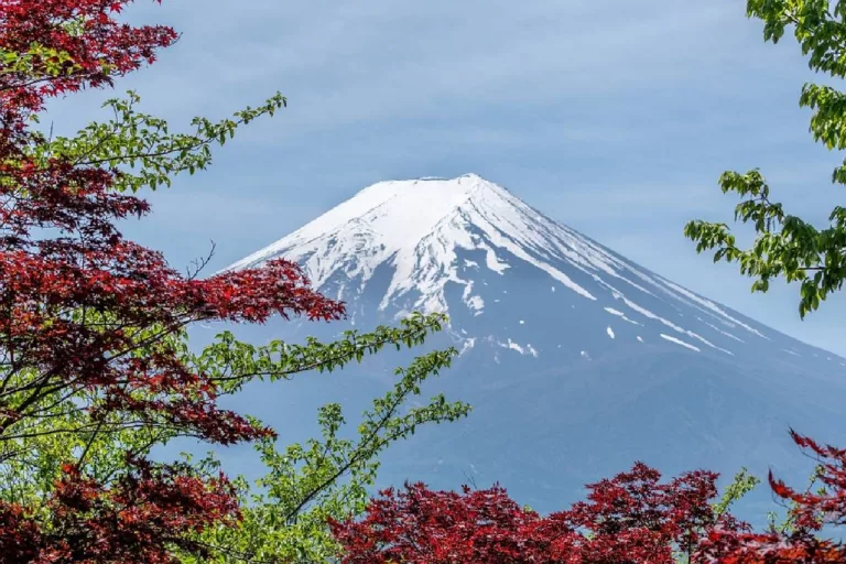 Best Day Trips From Tokyo